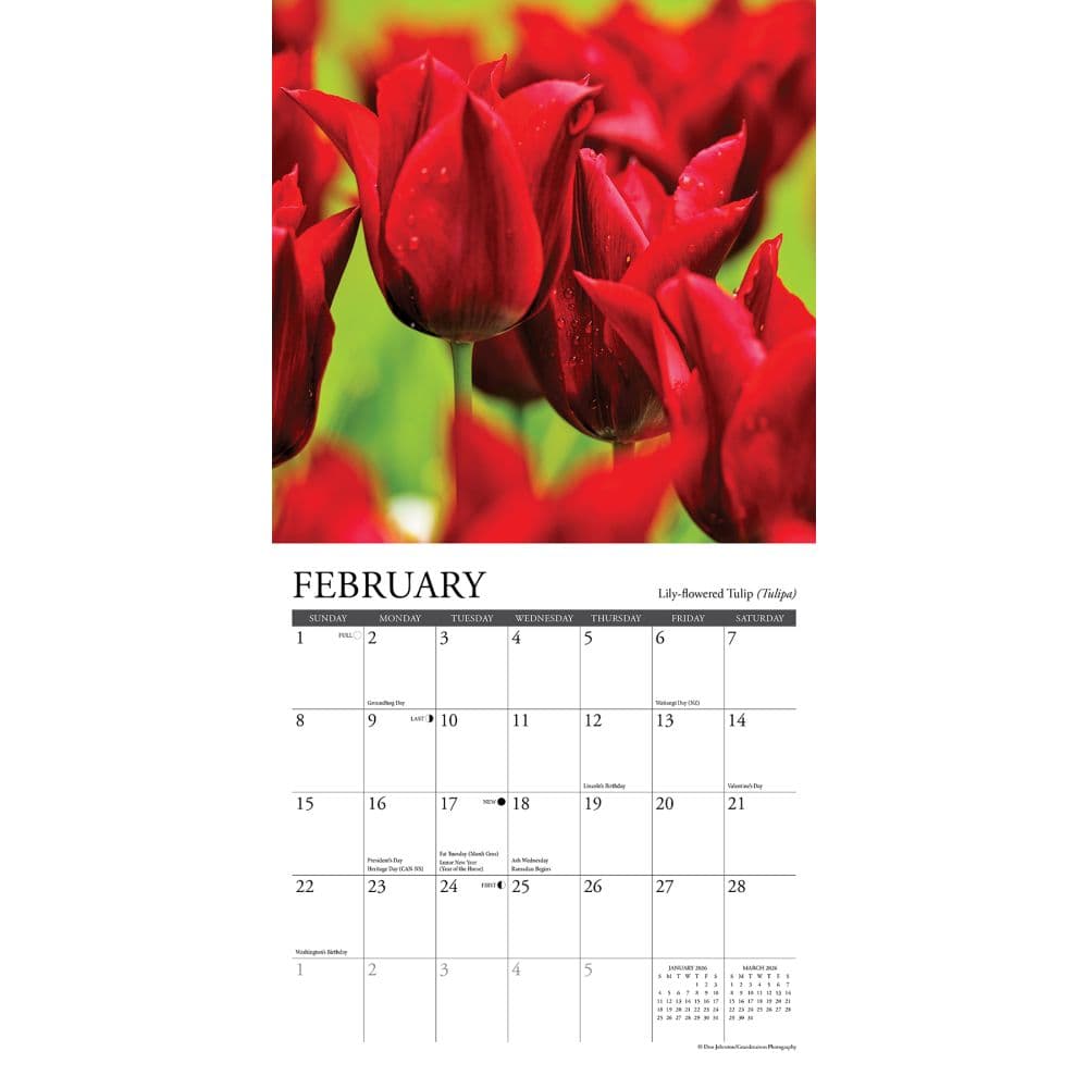 Flowers 2026 Mini Wall Calendar Second Alternate Image
