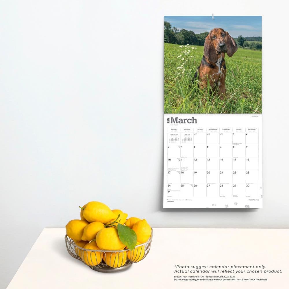 Bloodhounds 2024 Wall Calendar