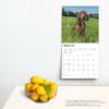 image Bloodhounds 2024 Wall Calendar Third Alternate Image width=&quot;1000&quot; height=&quot;1000&quot;