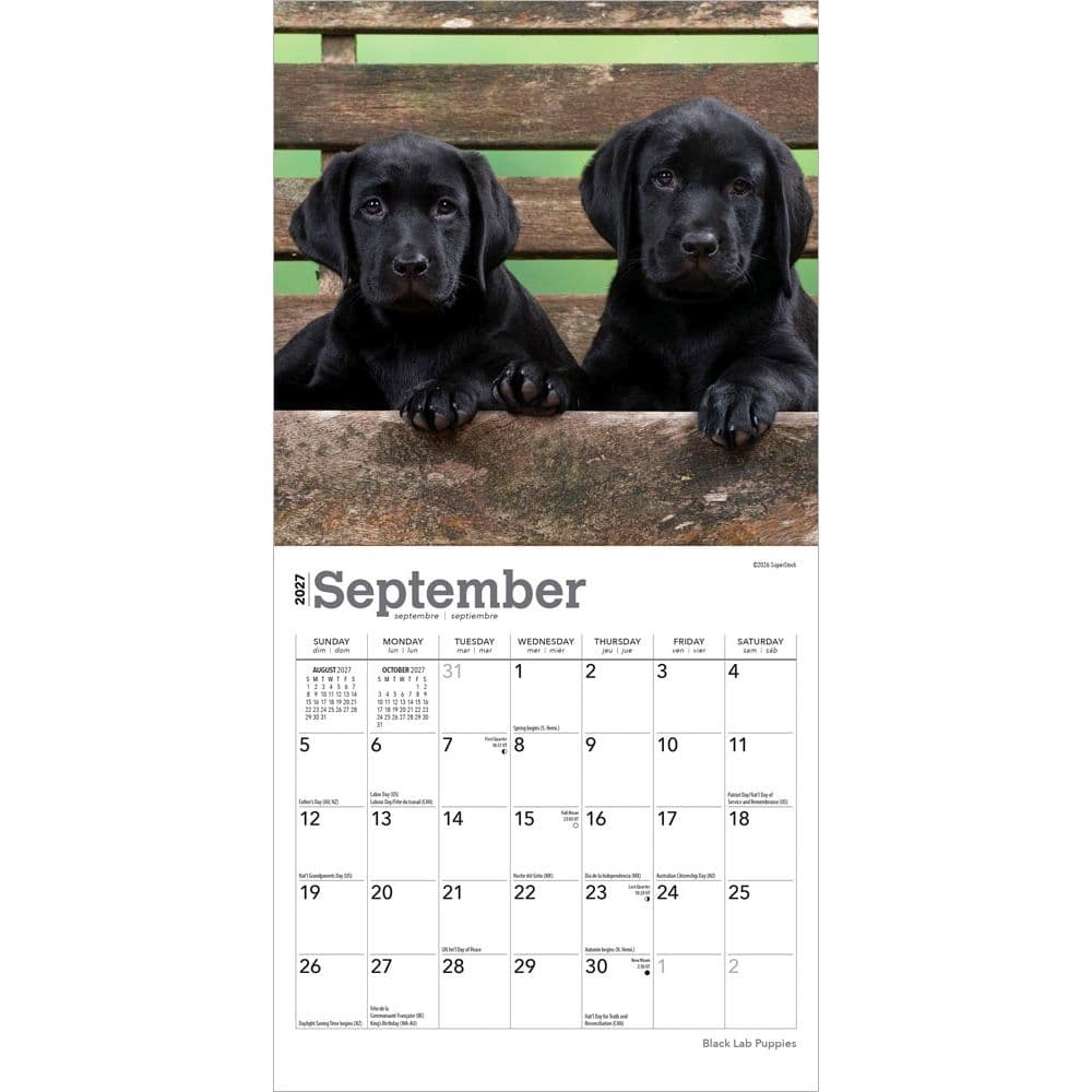 Black Lab Puppies 2027 Mini Wall Calendar Third Alternate Image