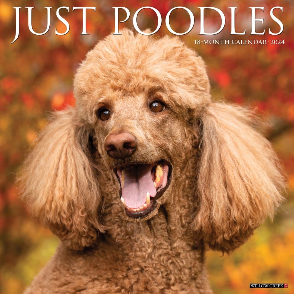 Just Poodles 2024 Wall Calendar Main Image