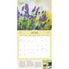 image Herbs 2025 Wall Calendar Second Alternate Image width=&quot;1000&quot; height=&quot;1000&quot;