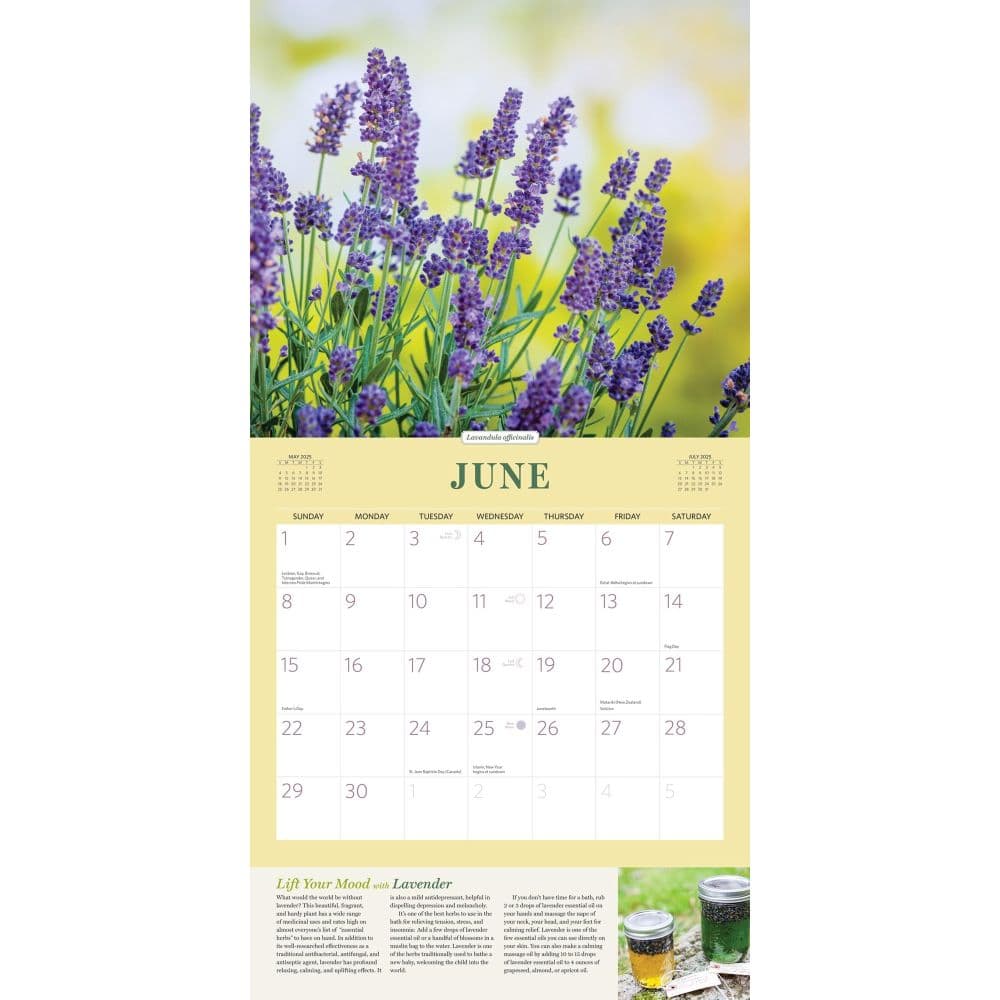 Herbs 2025 Wall Calendar Second Alternate Image width=&quot;1000&quot; height=&quot;1000&quot;