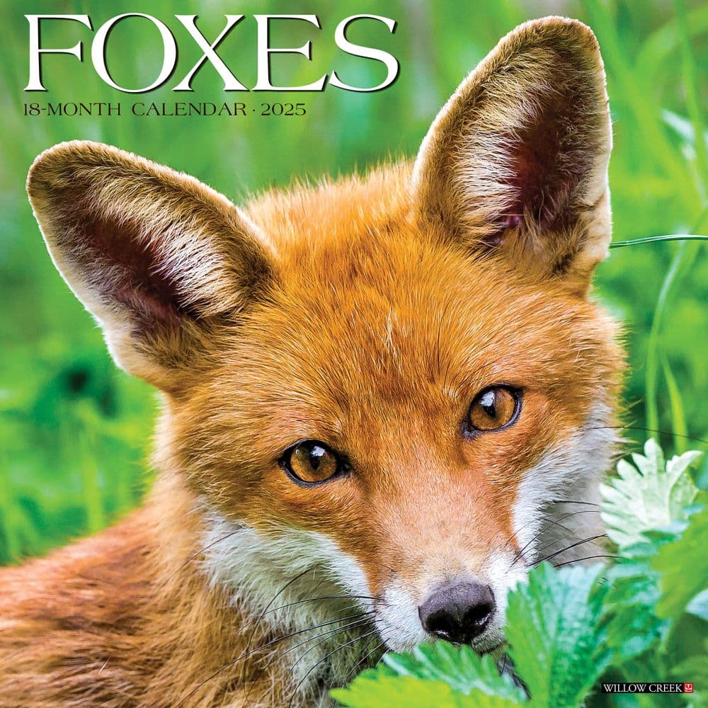 Foxes 2025 Wall Calendar