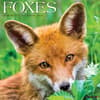 image Foxes 2025 Wall Calendar Main Product Image width=&quot;1000&quot; height=&quot;1000&quot;