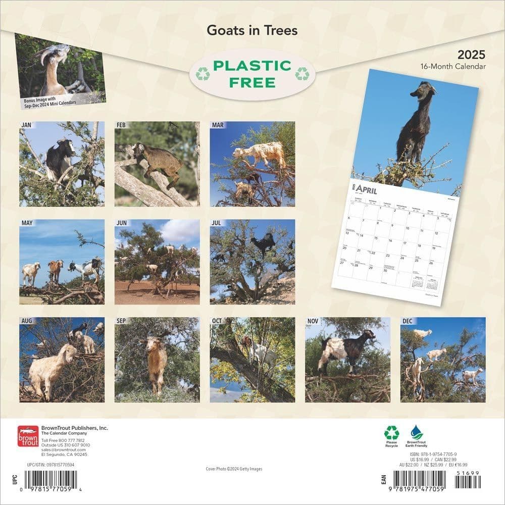 Goats in Trees 2025 Wall Calendar First Alternate Image