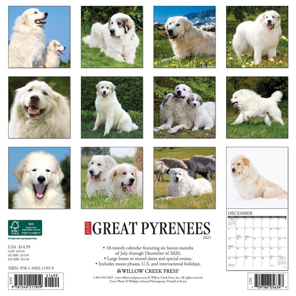 Download Great Pyrenees Wall Calendar - Calendars.com