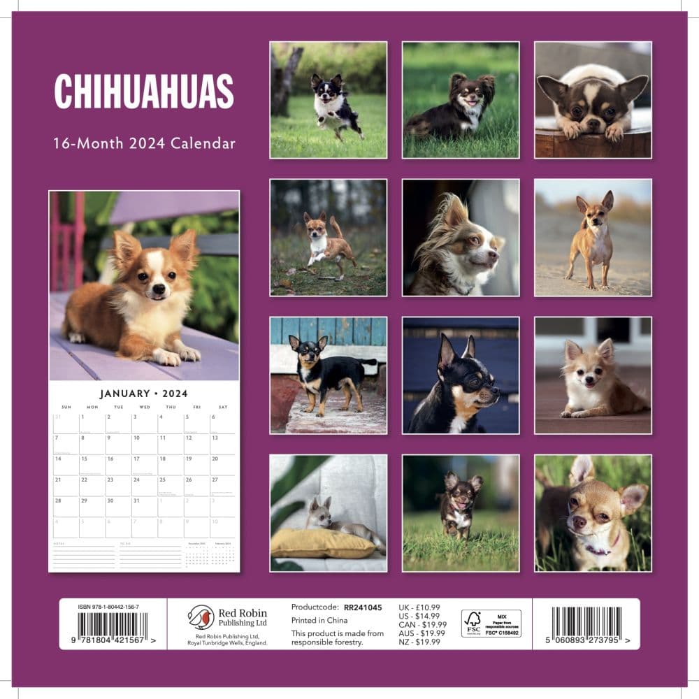 Chihuahuas 2025 Wall Calendar