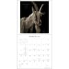 image I am Goat 2025 Wall Calendar Third Alternate Image