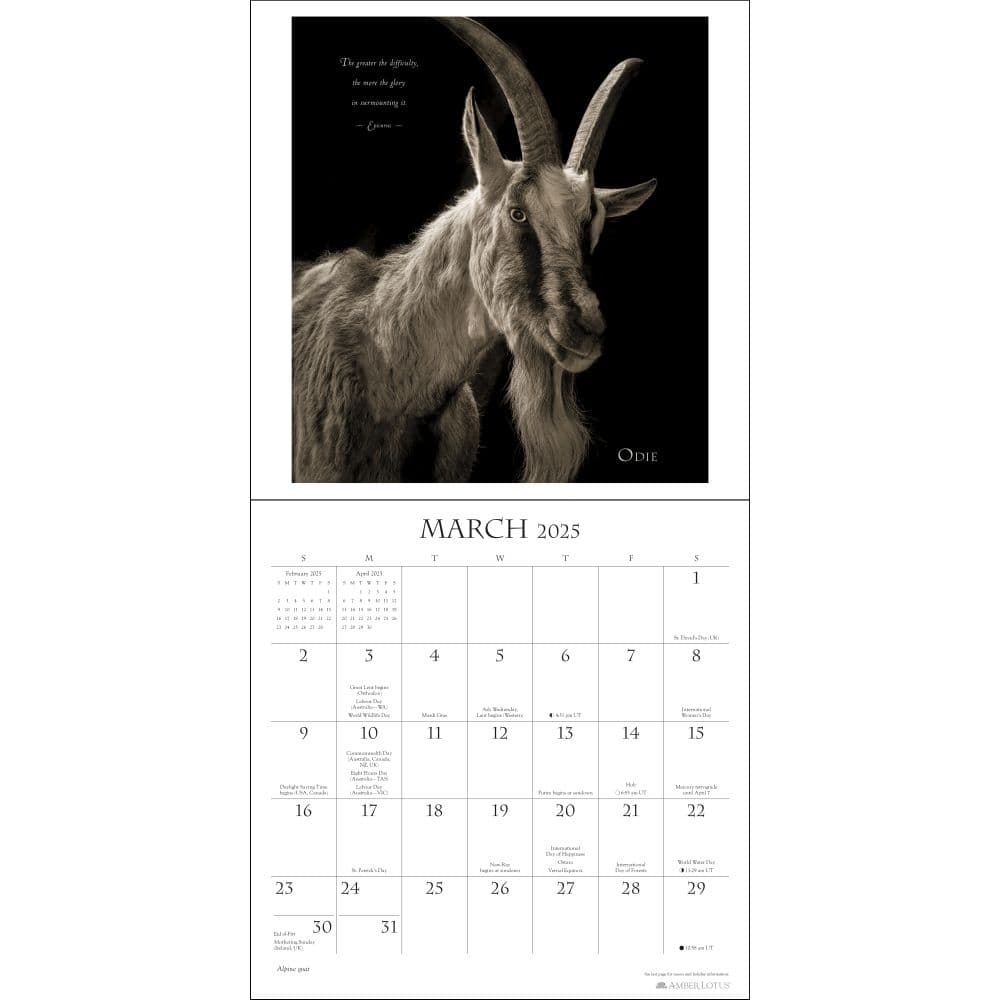 I am Goat 2025 Wall Calendar Second Alternate Image width=&quot;1000&quot; height=&quot;1000&quot;