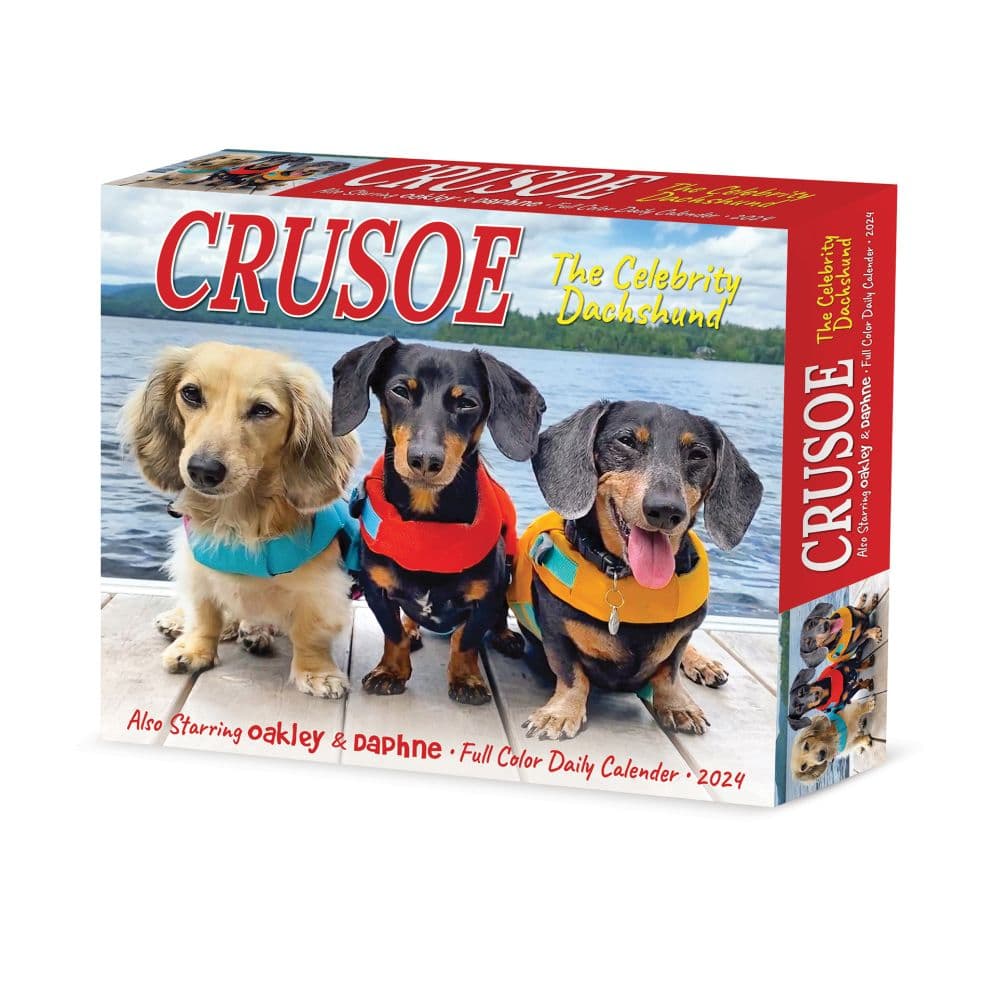 Crusoe the Celebrity Dachshund 2024 Desk Calendar