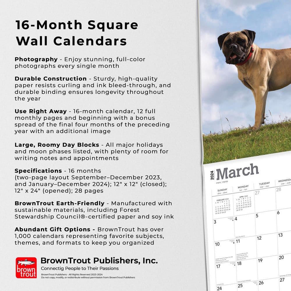 Bullmastiffs 2024 Wall Calendar