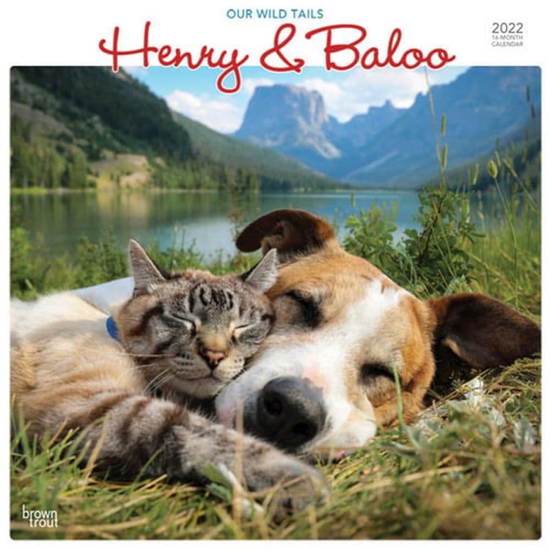 Henry And Baloo Our Wild Tails 2022 Wall Calendar - Calendars.com