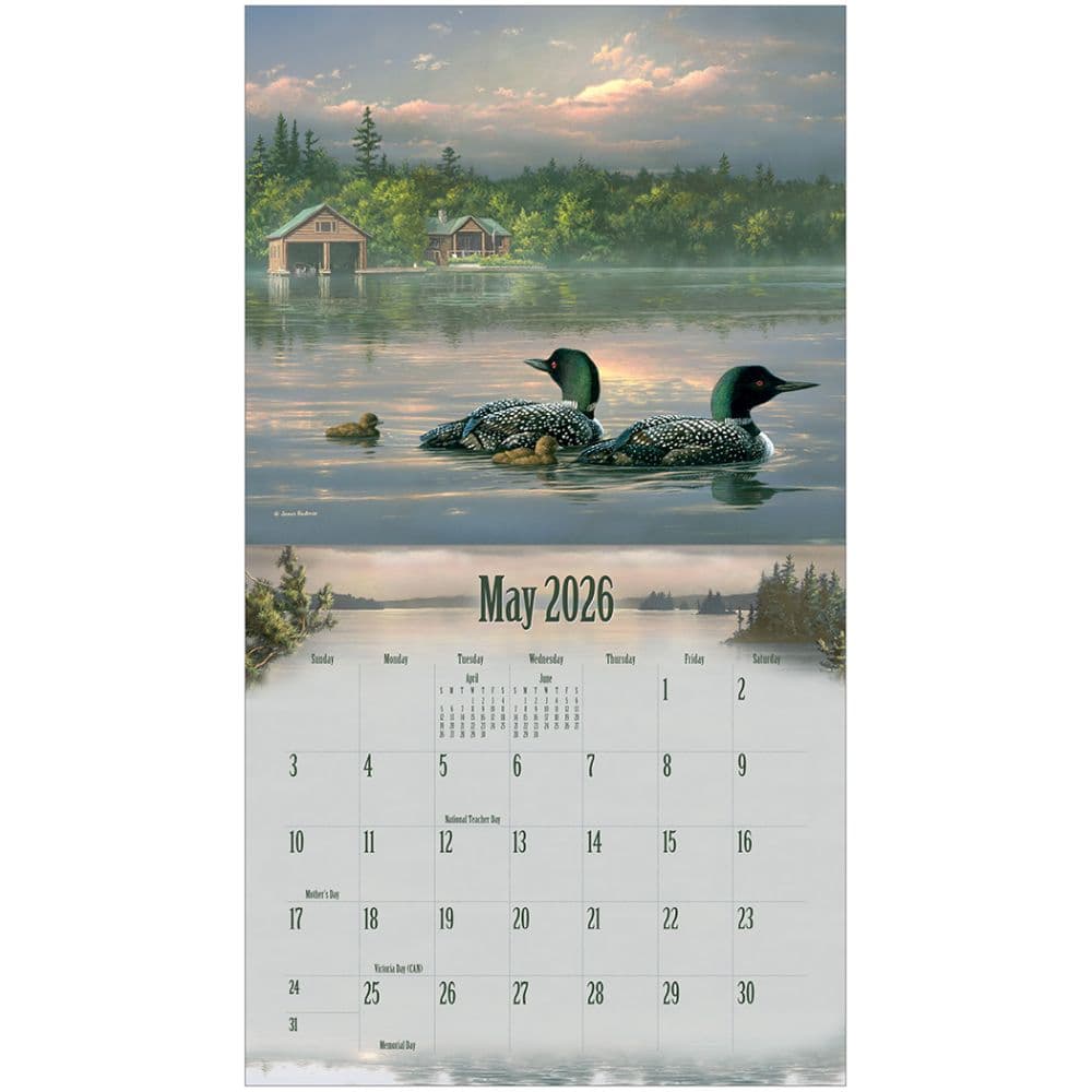 Wildlife by Hautman Brothers 2026 Wall Calendar Second Alternate Image