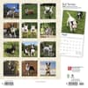 image Bull Terriers 2024 Wall Calendar First Alternate Image width=&quot;1000&quot; height=&quot;1000&quot;