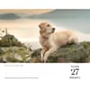 image Golden Retrievers 2026 Desk Calendar Second Alternate Image