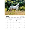 image Horses 2024 Wall Calendar Second Alternate Image