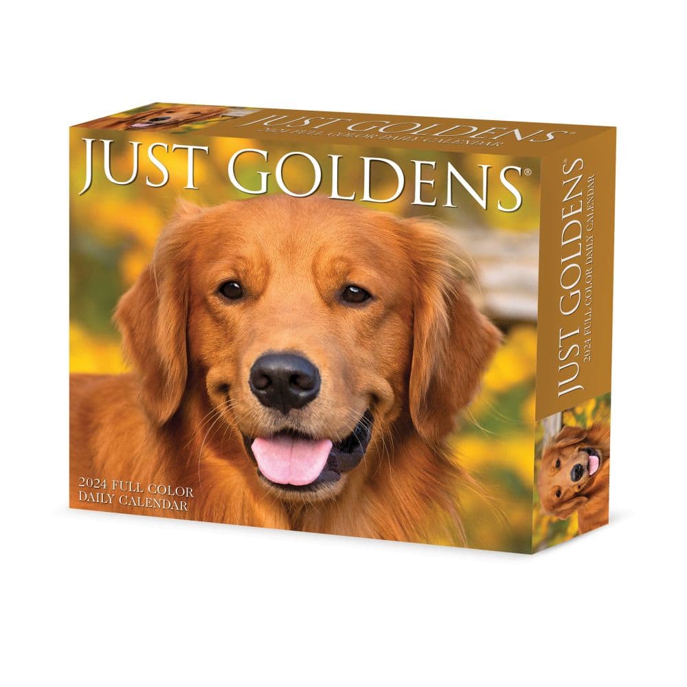 Just Goldens 2024 Desk Calendar