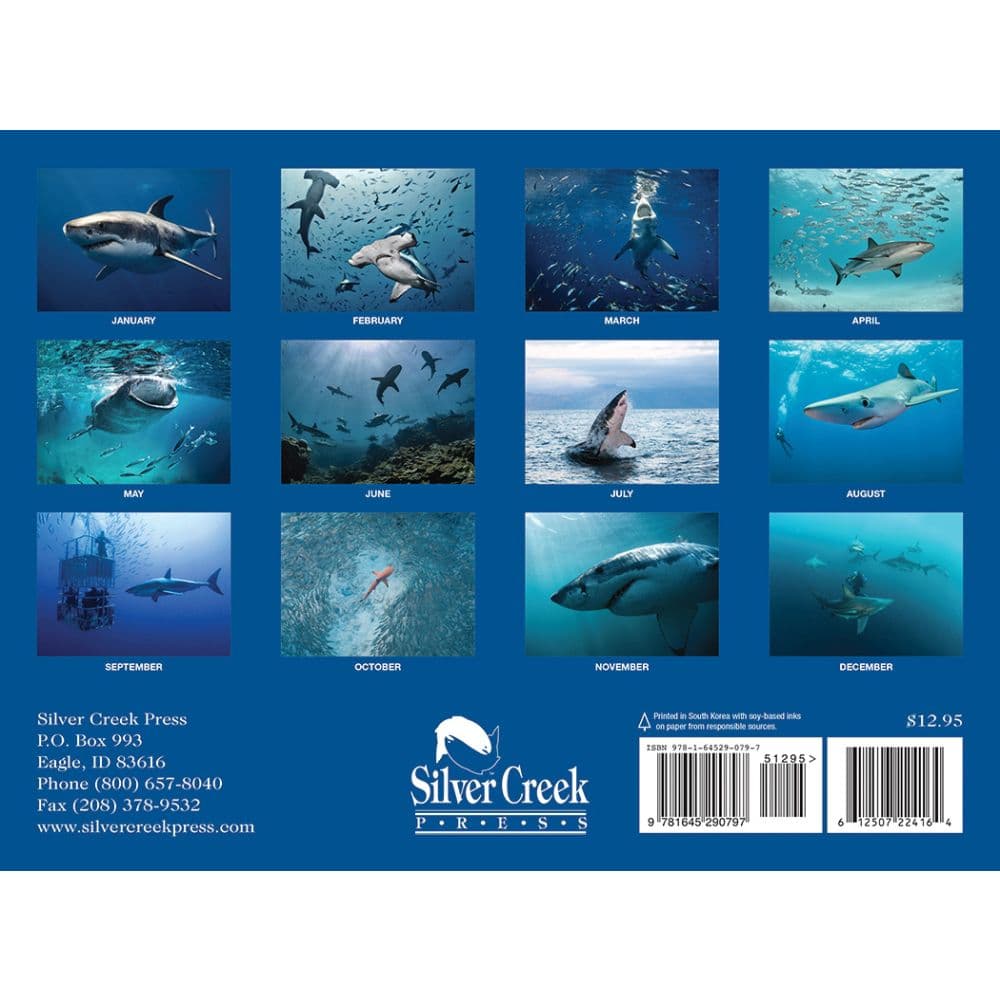 Sharks 2024 Wall Calendar Calendars Com   C4a77900 5259 400b 8094 9d639f70ec08