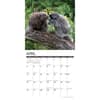 image Porcupines 2026 Wall Calendar