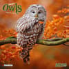 image Magic Owls 2025 Wall Calendar Main Image