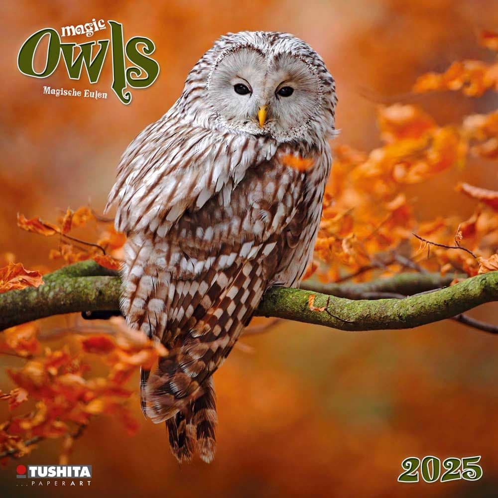 2025 Yearly Calendar Pretty Owls