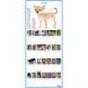 image Puppies 365 Days 2025 Wall Calendar Alt2