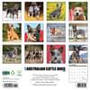 image Just Australian Cattle Dogs 2025 Wall Calendar