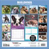 image Bulldogs 2024 Wall Calendar Alternate Image 1