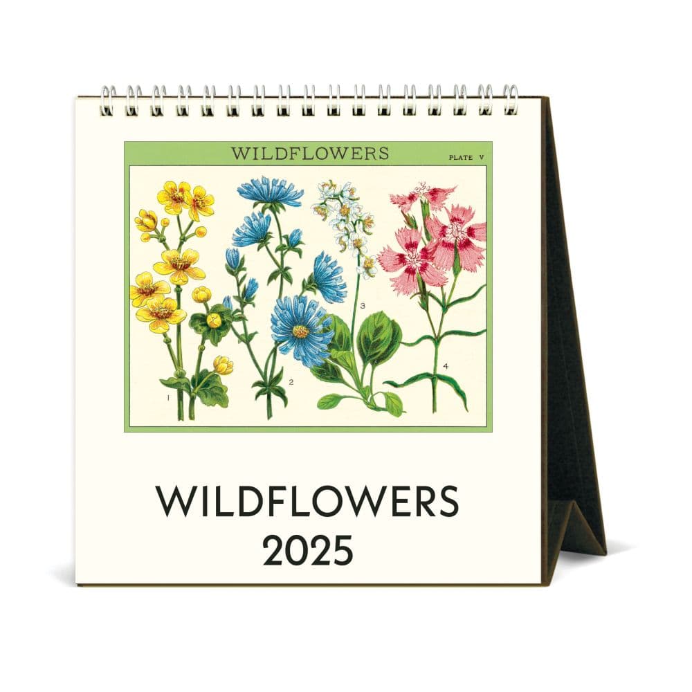 Wildflowers 2025 Easel Desk Calendar - Calendars.com