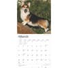 image Welsh Corgis Pembroke 2025 Wall Calendar Second Alternate Image width=&quot;1000&quot; height=&quot;1000&quot;