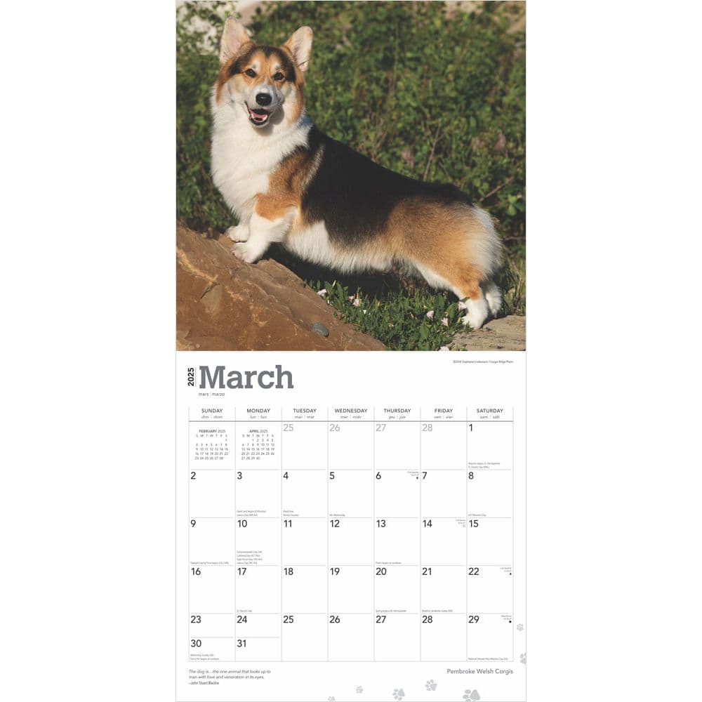 Welsh Pembroke 2025 Wall Calendar