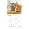 image Cats 2026 Wall Calendar Fourth Alternate Image