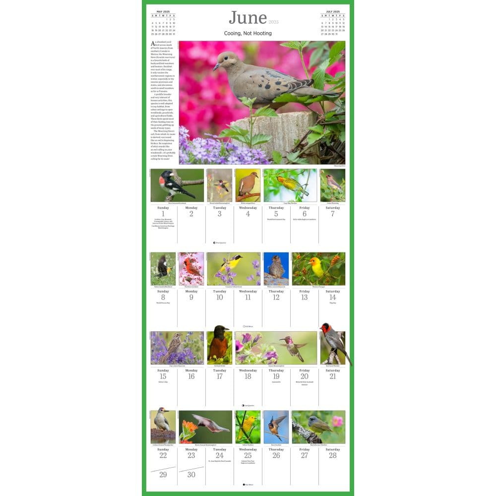 Audubon 365 Songbirds 2025 Wall Calendar Alt2