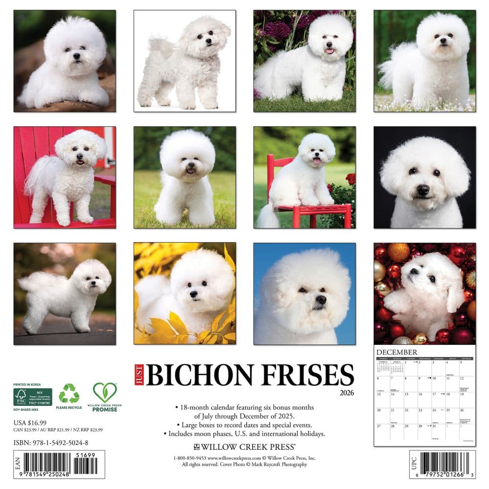 Just Bichons Frises 2026 Wall Calendar First Alternate image