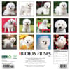image Just Bichons Frises 2026 Wall Calendar First Alternate image
