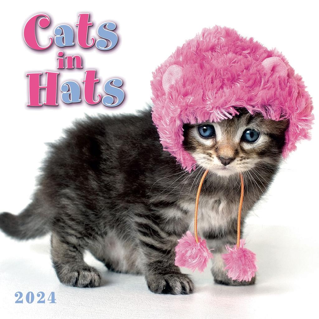 Cats in Hats 2024 Mini Wall Calendar Main Image