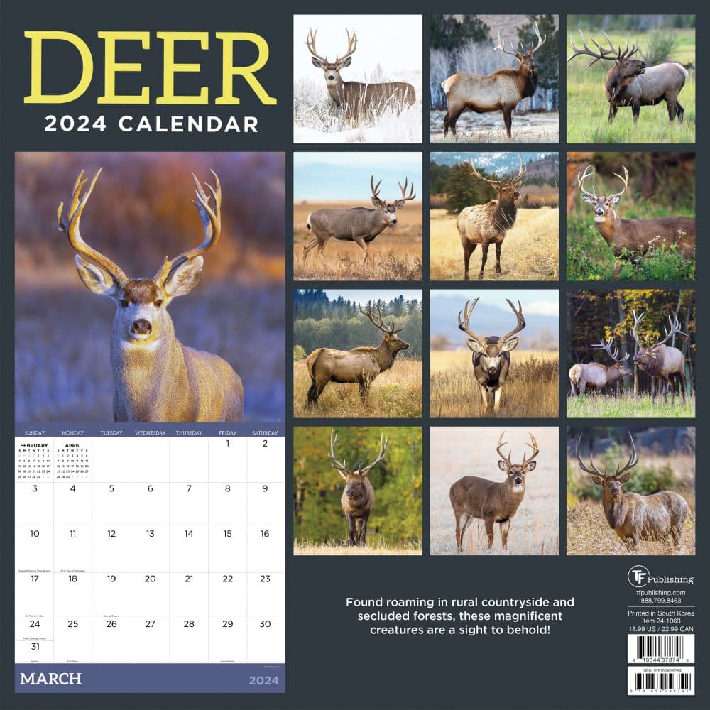 Deer 2024 Wall Calendar