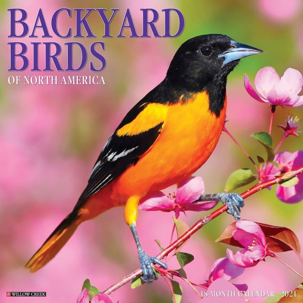 Backyard Birds 2021 Calendars