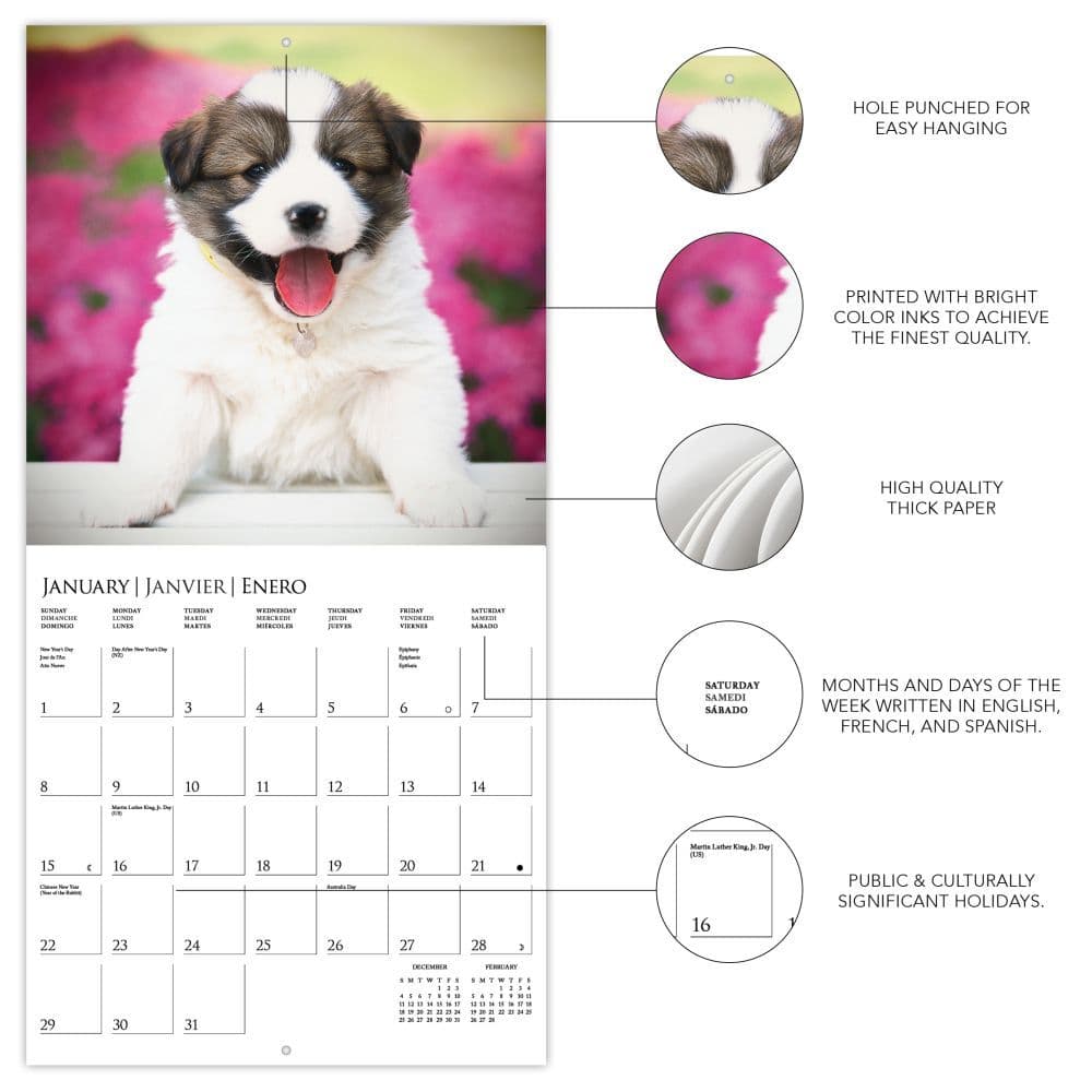 Aspca Calendar 2023 Puppy Love 2023 Wall Calendar - Calendars.com