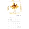 image Flower Spirits 2026 Mini Wall Calendar Third Alternate Image