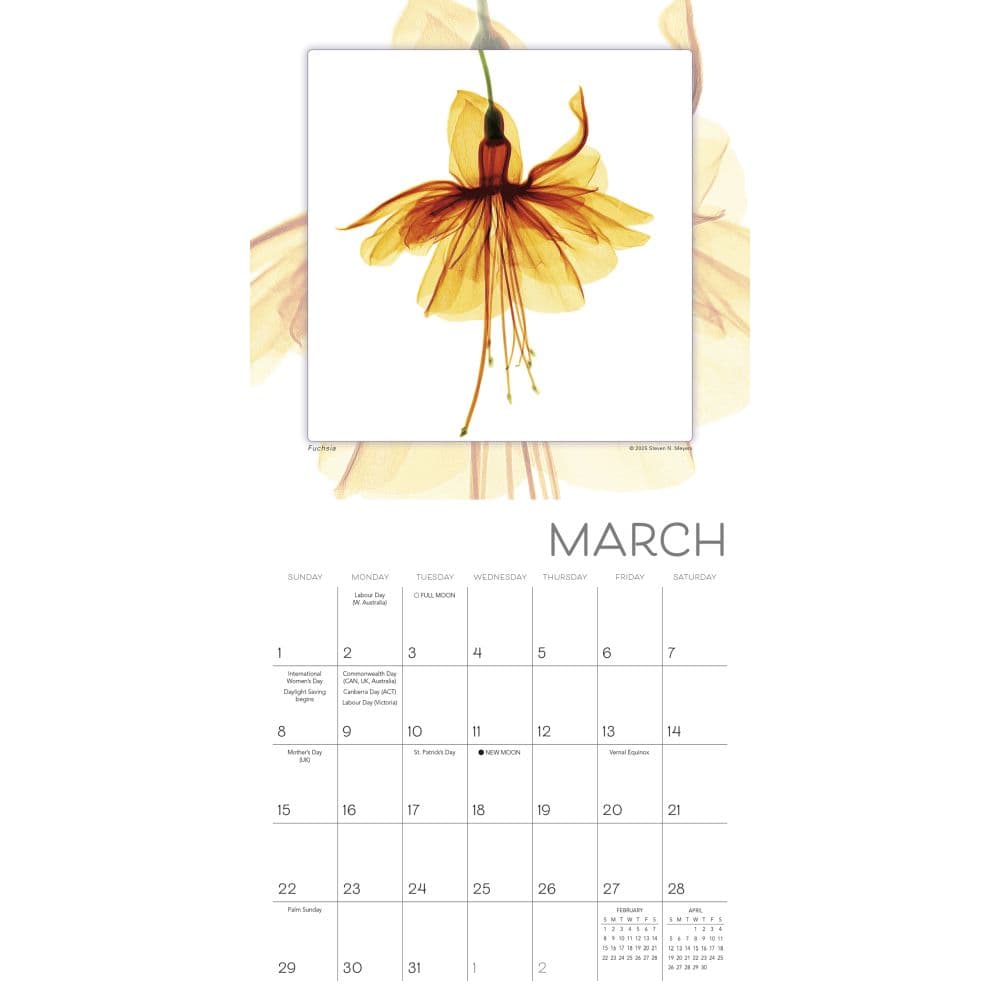 Flower Spirits 2026 Mini Wall Calendar Third Alternate Image