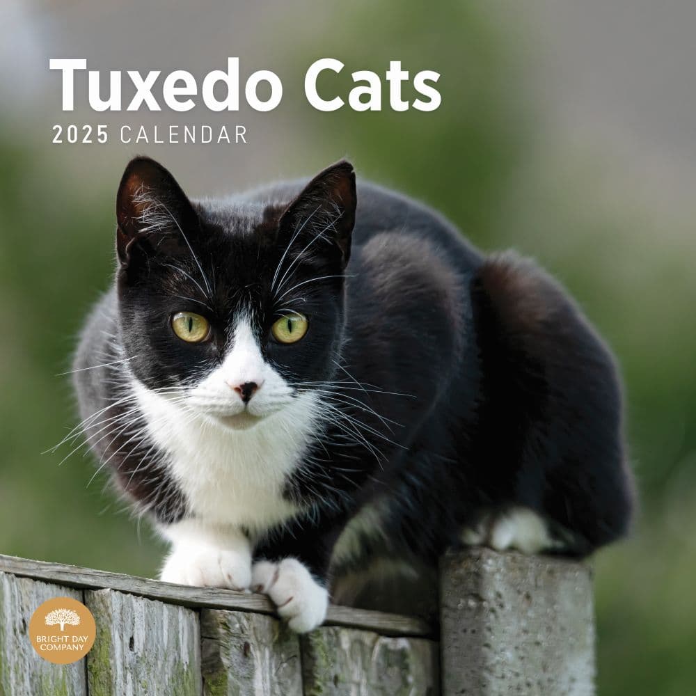 Tuxedo Cats 2025 Wall Calendar - Calendars.com