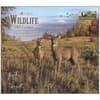 image Wildlife Special Edition 2025 Wall Calendar Main Product Image width=&quot;1000&quot; height=&quot;1000&quot;