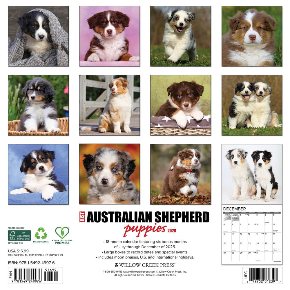 Australian Shepherd Puppies 2026 Wall Calendar First Alternate Image