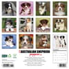 image Australian Shepherd Puppies 2026 Wall Calendar First Alternate Image