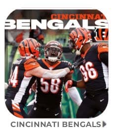 NFL - Cincinnati Bengals - Calendario giornaliero a strappo in scatola 2024  (13.35 x 13.35 cm)