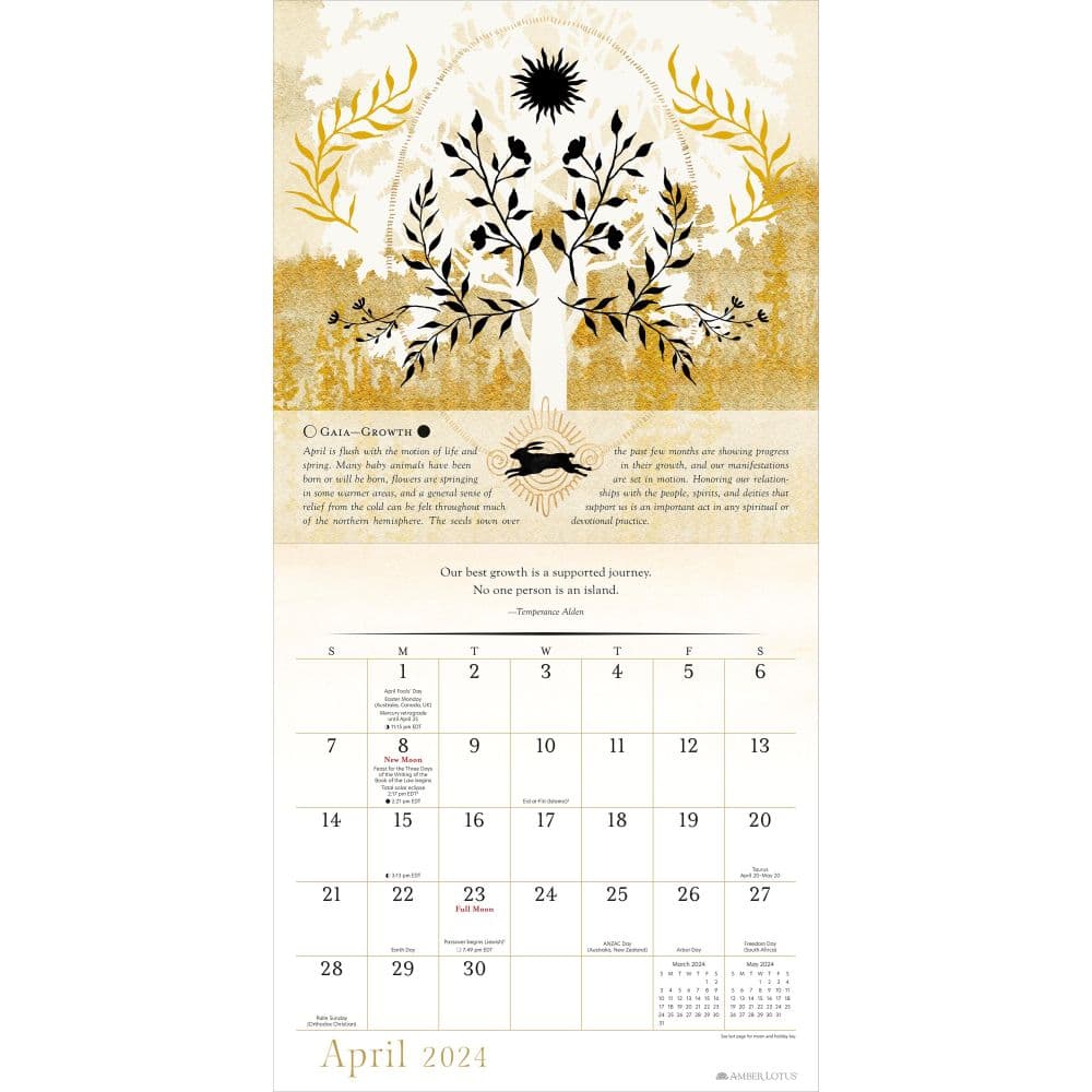 Year of the Witch 2025 Wall Calendar