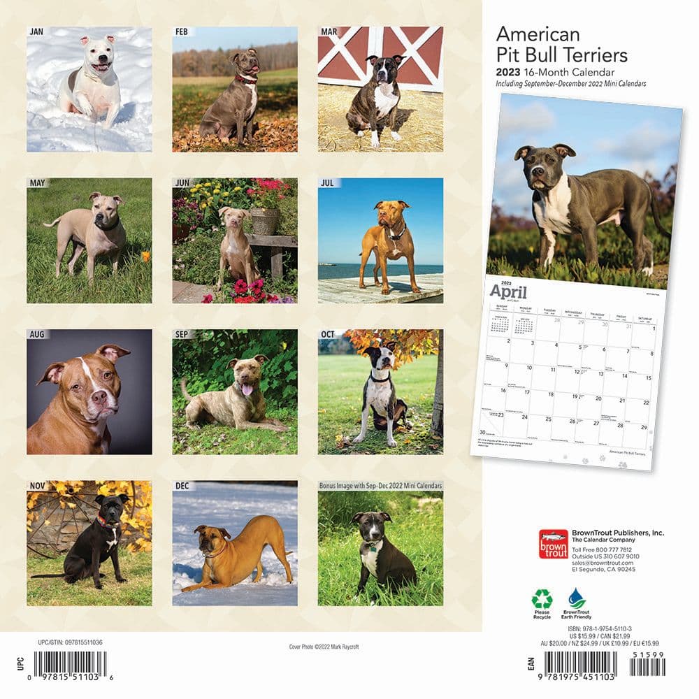 American Pit Bull 2023 Calendar - Calendars.com