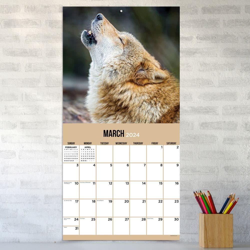 Wolves 2024 Wall Calendar